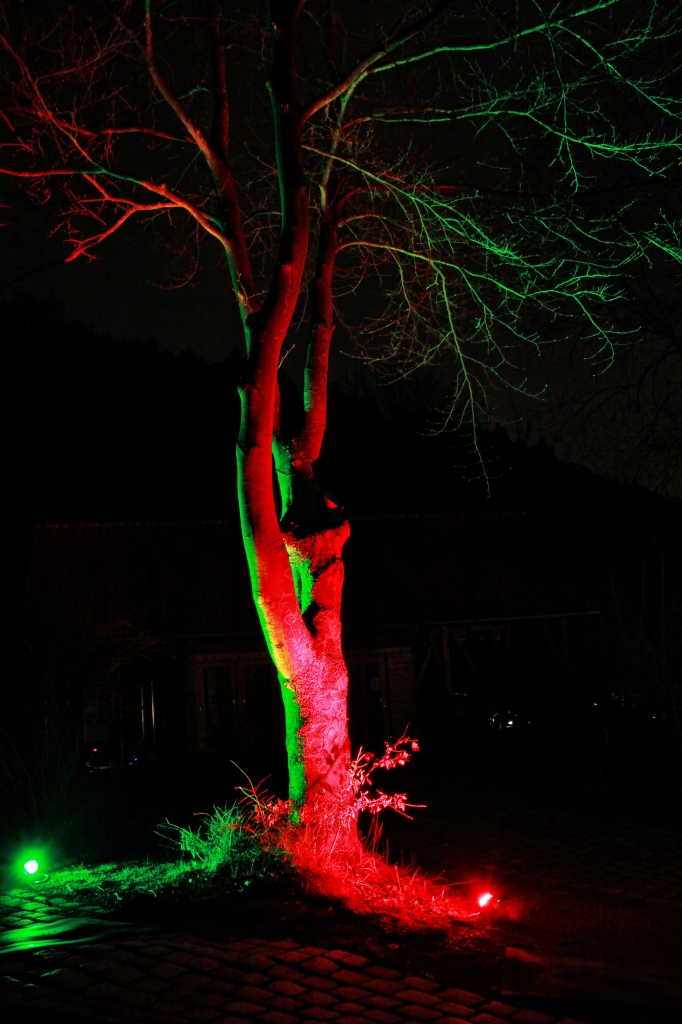 grün-roter Baum.JPG